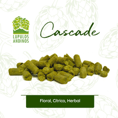 Cascade Nacional 2024