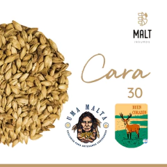 BUEN CORAZON - MALTA CARAMELO 30ºL