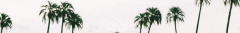 Banner de la categoría ACCESORIOS