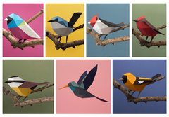 COLECCIÓN DE AVES COMPLETA