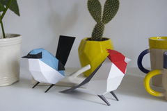 COLECCIÓN DE AVES COMPLETA - comprar online