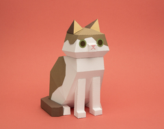 COMBO GATITO + RISOGRAFÍA - tienda online