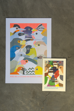 Guía de aves + Print aves A4 en riso - guardabosques