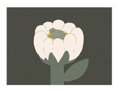 Print "Ranita en flor"