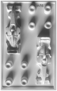 MOLDE PLACA PARA CHOCOLATE FORMULA 1 AUTO CARRERA
