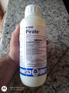 Inseticida químico Pirate (Acaricida/Inseticida pode usar em suculentas e rosas do deserto)