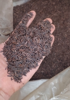 Casca de arroz carbonizado 5 litros