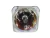 Lâmpada P/ Projetor Mitsubishi SD105U SD206U XD206U (VLT-XD206LP)