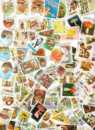 Colección Universal de 100 estampillas del tema HONGOS