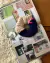 Scrunchie Knit Indigo