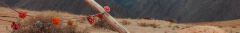 Banner de la categoría GOMITAS SCRUNCHIES