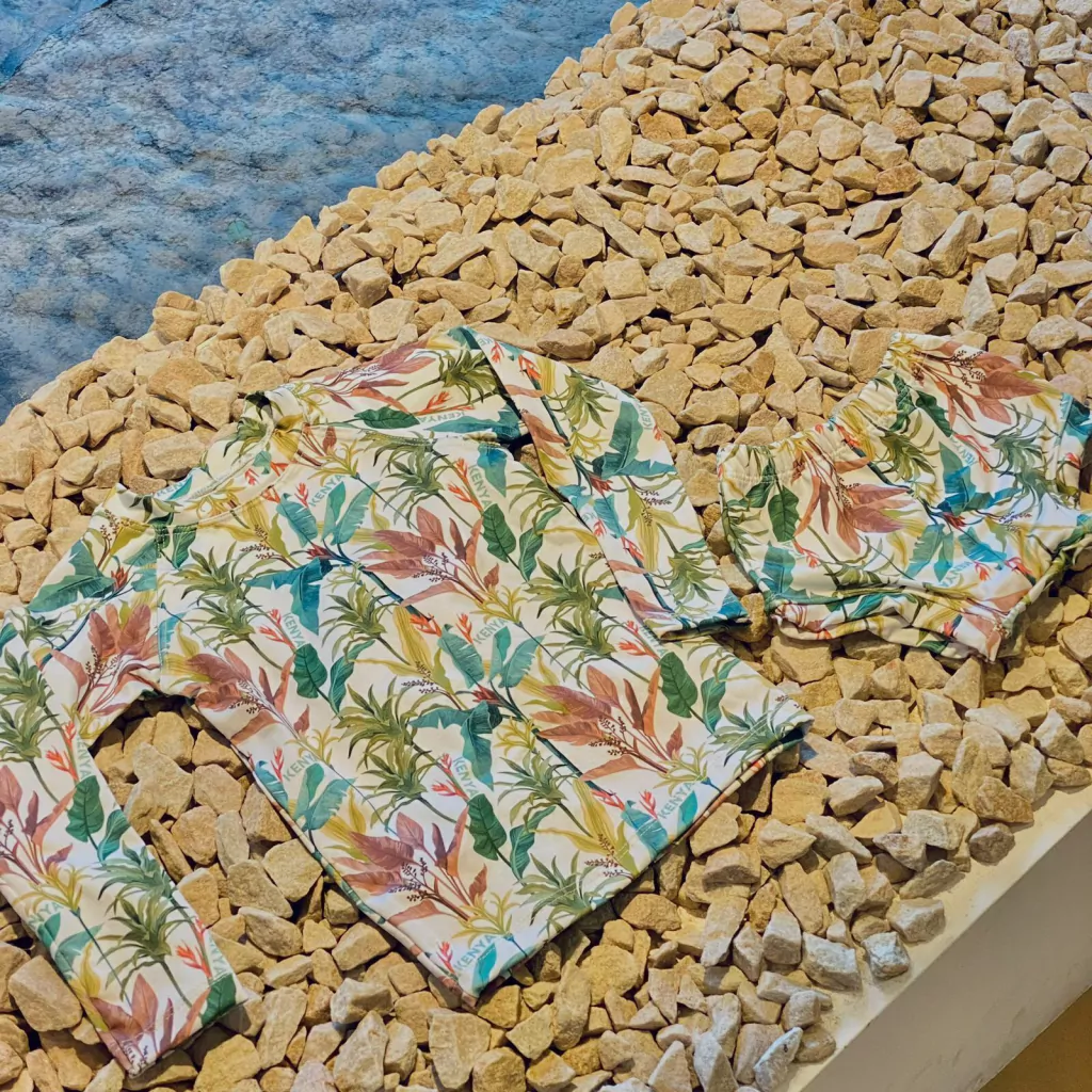 REMERA MANGA LARGA + SHORT AMAZONAS