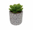 VASO DECORATIVO C/ PLANTA ARTIFICIAL EM CIMENTO ONYX TRADE 4990 - comprar online