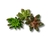PLANTA ARTIFICIAL SUCULENTA 06709 - 1 UND