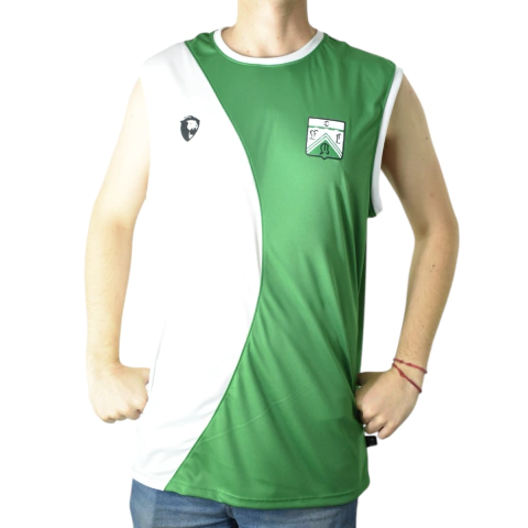 Remera Entrenamiento Ferro Lyon 2024 - (copia) - (copia) - comprar online