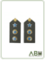 PLATINA DE TENENTE - CORONEL DO EXÉRCITO BRASILEIRO (NOVO RUE)