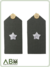 PLATINA DE APIRANTE DO EXÉRCITO BRASILEIRO