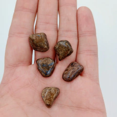Broncita rolada