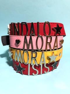 Dogui clásico con correa (Oportunidad!) en internet