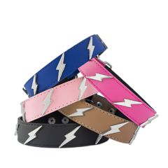 RAY en combo con correa - comprar online