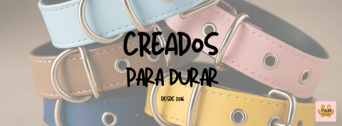 Imagen del carrusel 1