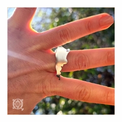 Anillo Argentina