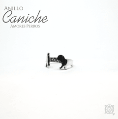 Anillo Caniche