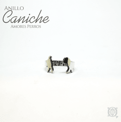 Anillo Caniche