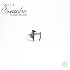 Anillo Caniche