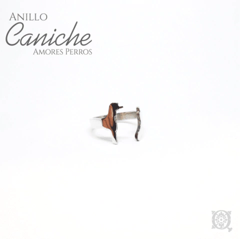 Anillo Caniche