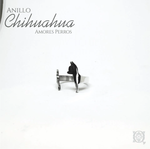 anillo perro