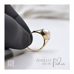 Anillo Padia