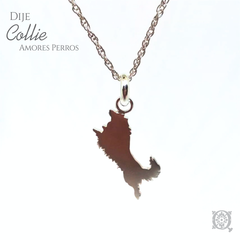 Dije Collie