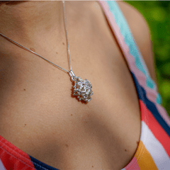 Dije Plata Coral