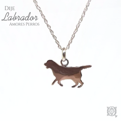 Dije labrador