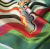 Imagen de ROSETON VERDE 75