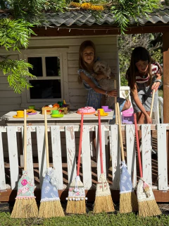 Escobas Princesa - comprar online