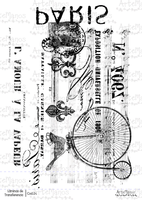 LAMINA DE TRANSFERENCIA 24