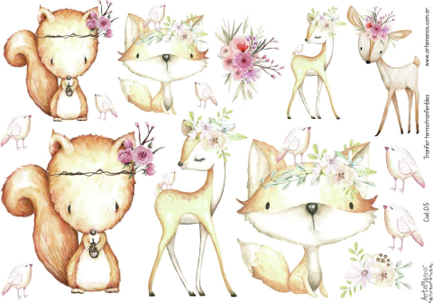 TRANSFER TERMOTRANSFERIBLE 5