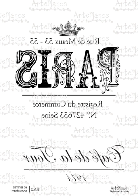 LAMINA DE TRANSFERENCIA 55