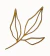 BOTANICA C - comprar online
