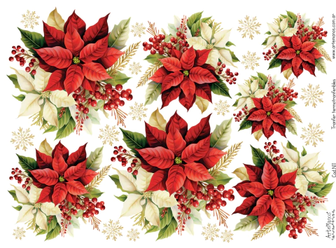 TRANSFER TERMOTRANSFERIBLE N11