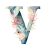 TRANSFER UV V