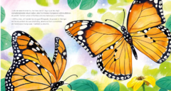 Mariposas cuando las familias cambian - comprar online