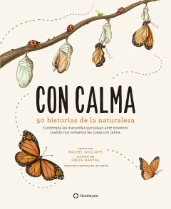 Con calma (con detalle)
