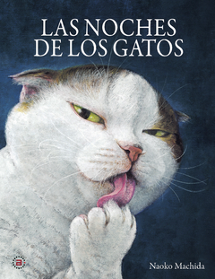 Las noches de los gatos