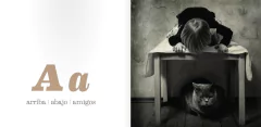 El abecedario de Kate & Cat - Abrazandocuentos: Librería y distribuidora de libros infantiles