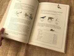 Inventario ilustrado de animales en internet