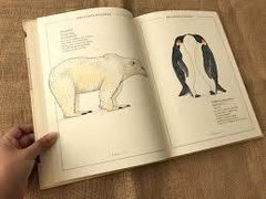 Inventario ilustrado de animales - tienda online