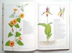 Inventario ilustrado de flores - comprar online